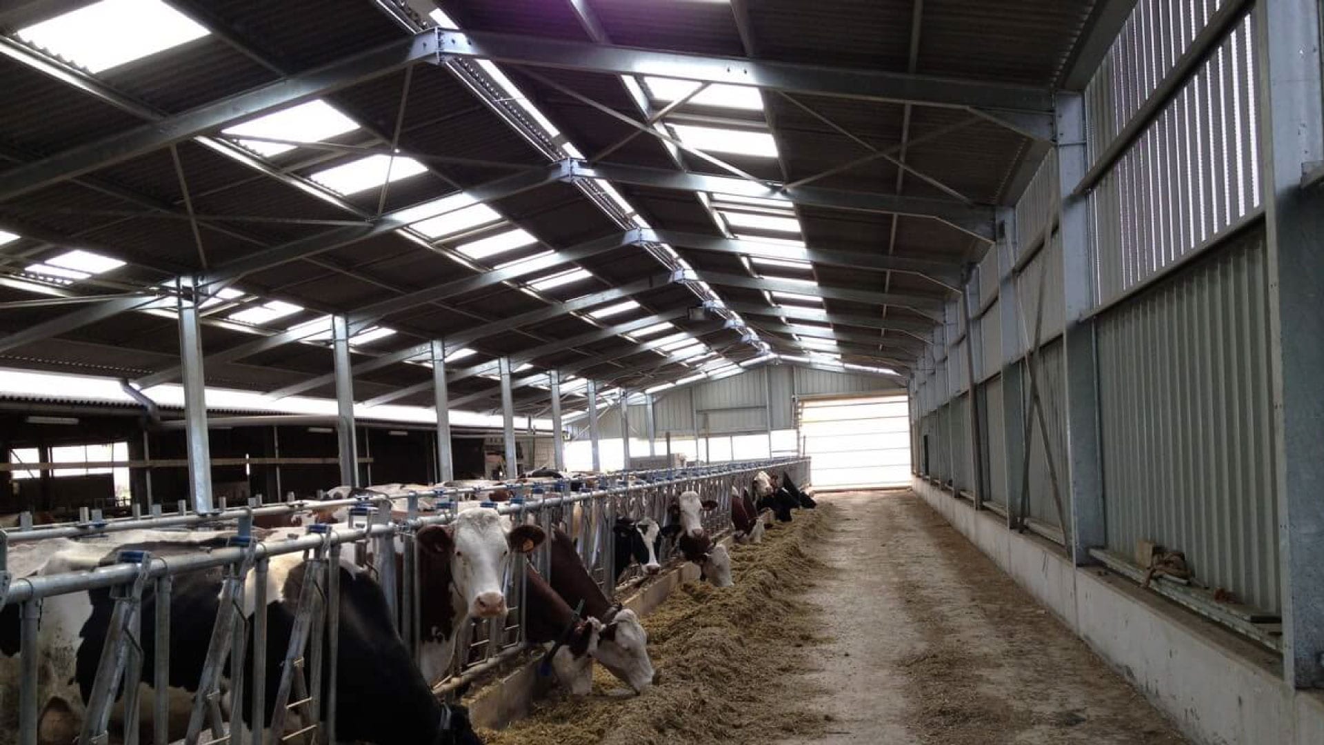 Farm building light panels sydney