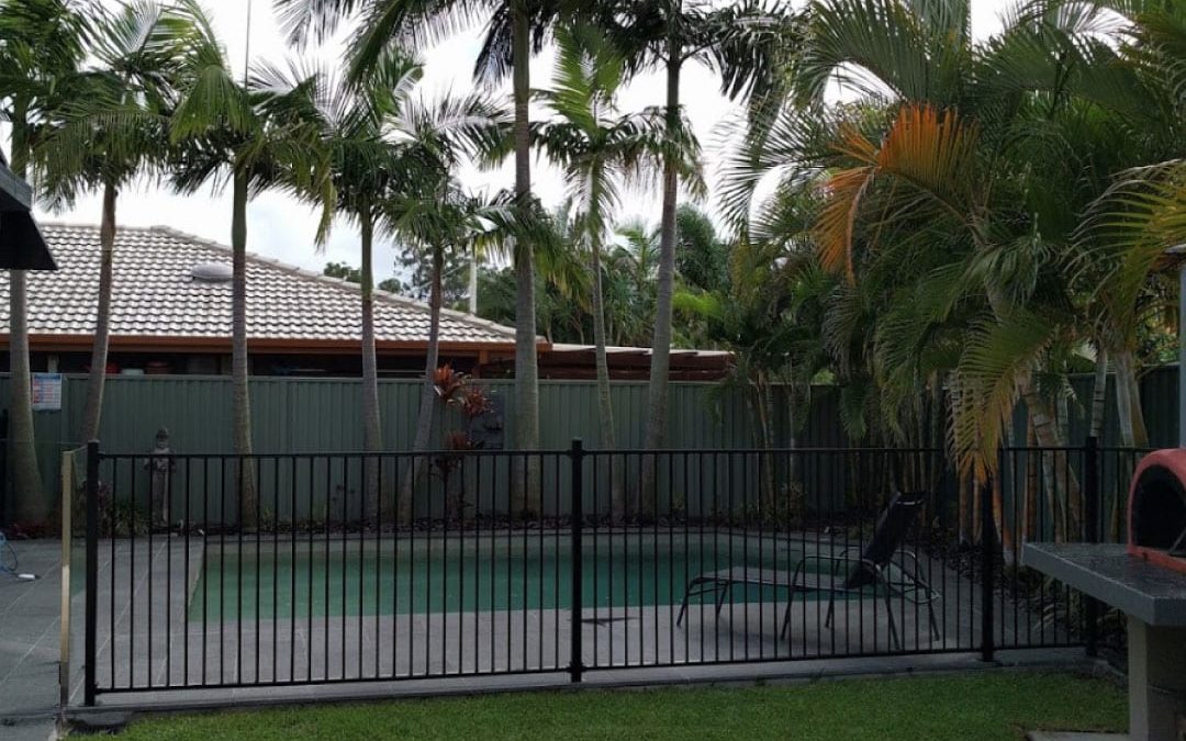 palmtreeremovalbrisbanesouth1 Roofing Supplies and Services